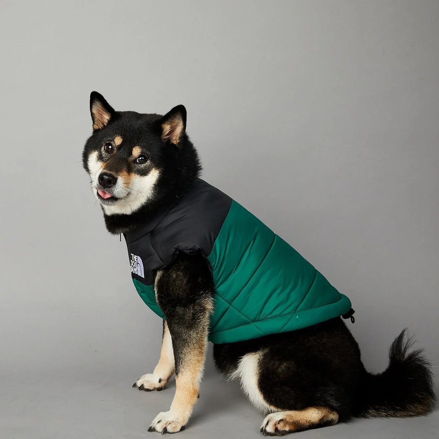 "The Dog Face" Padded Windproof Pet Vest