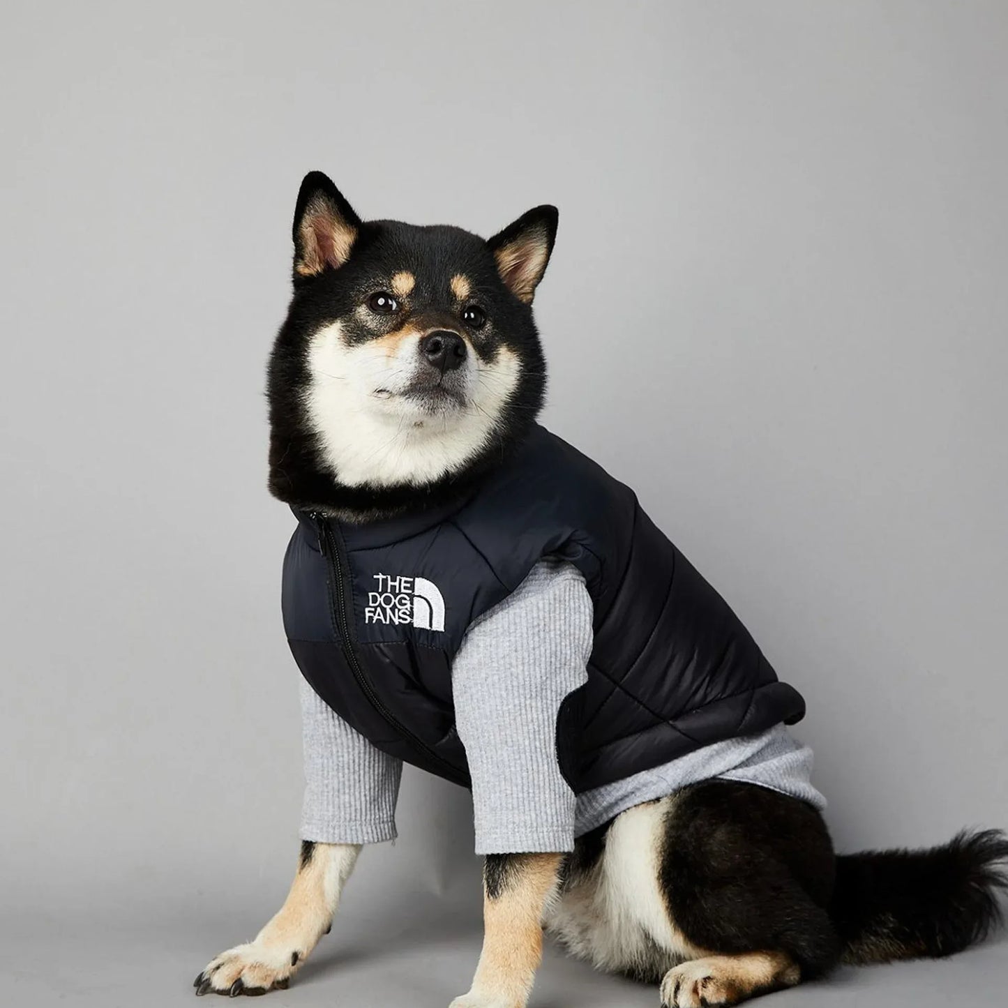 "The Dog Face" Padded Windproof Pet Vest